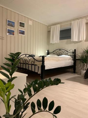 Private House-Terrace-Garden -Parking-Wifi-Smarttv Villa Trondheim Luaran gambar